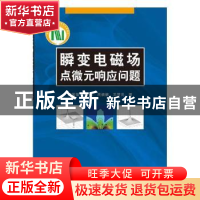 正版 瞬变电磁场点微元响应问题 薛国强[等]著 科学出版社 978703