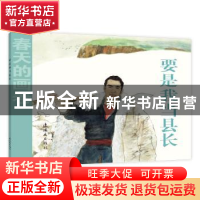 正版 要是我当县长 陈计中 连环画出版社 9787505635524 书籍