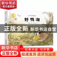 正版 野鸭湖 曹文轩 中国少年儿童出版社 9787514863895 书籍