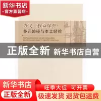 正版 农民工权益保护:多元路径与本土经验 黄岩著 经济科学出版社