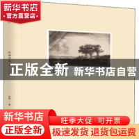 正版 还乡(2001-2019陈律诗选) 陈律 北岳文艺出版社 97875378615