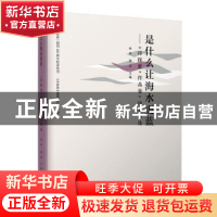 正版 是什么让海水更蓝——《诗探索?作品卷》诗歌精选 《诗探索