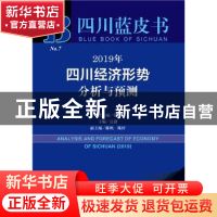 正版 2019年四川经济形势分析与预测 达捷,杨钢,陈映 社会科学文