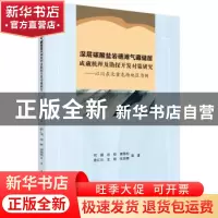 正版 深层碳酸盐岩礁滩气藏储层成藏机理及勘探开发对策研究:以川