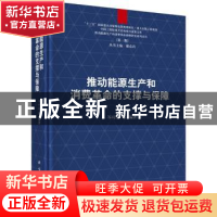 正版 推动能源生产和消费革命的支撑与保障 岑可法等编著 科学出