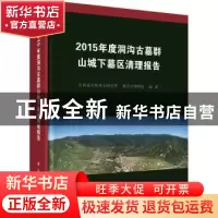 正版 2015年度洞沟古墓群山城下墓区清理报告 编者:安文荣//董峰|