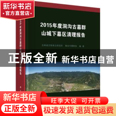 正版 2015年度洞沟古墓群山城下墓区清理报告 编者:安文荣//董峰|