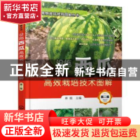 正版 设施西瓜高效栽培技术图解(第2版)/果树栽培修剪图解丛书 林