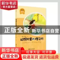 正版 旧照片里的橙子灯 王翔,周语主编 江西美术出版社 97875480