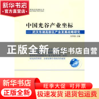 正版 中国光谷产业坐标:武汉东湖高新区产业发展战略研究 刘传铁
