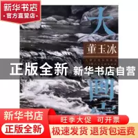 正版 大画家:董玉冰 董玉冰 天津人民美术出版社 9787530582299