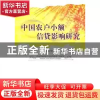 正版 中国农户小额信贷影响研究 朱乾宇著 人民出版社 9787010087