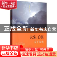 正版 大宋王朝·天下布武 何辉 中国人民大学出版社 9787300207797