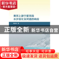 正版 黄河上游宁蒙河段水沙变化及河道的响应 董占地 水利水电出