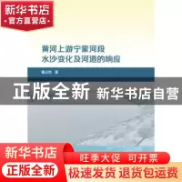 正版 黄河上游宁蒙河段水沙变化及河道的响应 董占地 水利水电出