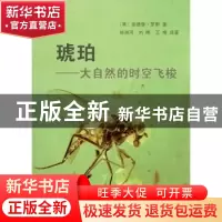正版 琥珀:大自然的时间飞梭 (英)安德鲁·罗斯著,徐洪河等译