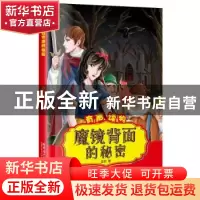正版 魔镜背面的秘密 赵岩编 哈尔滨工业大学出版社 978756035945