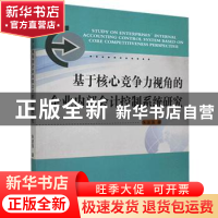 正版 基于核心竞争力视角的企业内部会计控制系统研究 朱波强著