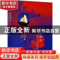 正版 燃烧的冰(我国首次海域可燃冰试采成功纪实) 陈国栋,王晶 金