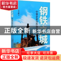 正版 钢铁之城:中塞企业合作协奏曲 王立新 外语教学与研究出版社