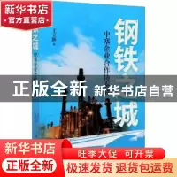 正版 钢铁之城:中塞企业合作协奏曲 王立新 外语教学与研究出版社