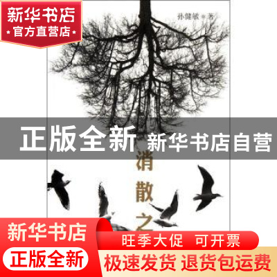 正版 消散之地 孙健敏著 作家出版社 9787506360890 书