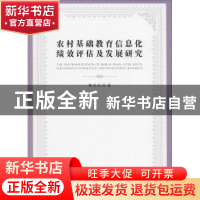 正版 农村基础教育信息化绩效评估及发展研究 解月光著 人民出版