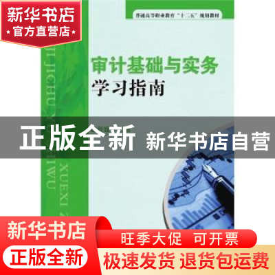 正版 审计基础与实务学习指南 彭新媛主编 清华大学出版社 978730