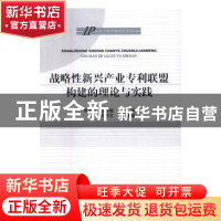 正版 战略性新兴产业专利联盟构建的理论与实践 韩秀成,袁有楼主