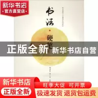 正版 书法·硬笔 胡云复主编 北京师范大学出版社 9787303236152