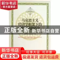 正版 马克思主义经济学框架下的国家理论研究 张国昀,巩军全著