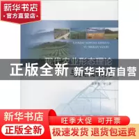 正版 现代农业形态理论与实践研究 张世龙等著 海洋出版社 978752