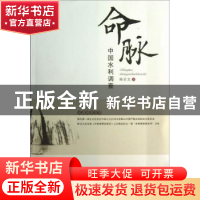 正版 命脉:中国水利调查 陈启文著 湘潭大学出版社 9787811284621