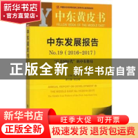 正版 中东发展报告(No.19)(2016-2017):后美国时代的中东格局 杨