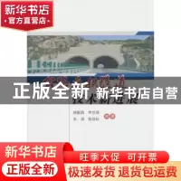 正版 公路连拱隧道技术新进展 姚振凯[等]编著 人民交通出版社