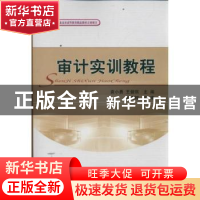 正版 审计实训教程 袁小勇,王健琪主编 经济科学出版社 97