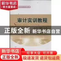 正版 审计实训教程 袁小勇,王健琪主编 经济科学出版社 97