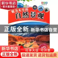 正版 魅力无穷的自然景观 金文选编 甘肃科学技术出版社 97875424