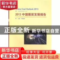 正版 2013中国煤炭发展报告 黄盛初主编 煤炭工业出版社 97875020