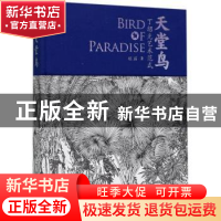 正版 天堂鸟:丁绍光艺术范式 胡笳 清华大学出版社 978730236603