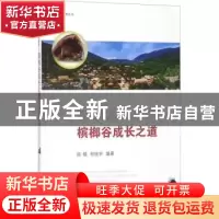 正版 槟榔谷成长之道 陈镇,邹统钎编著 经济管理出版社 97875096