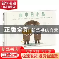 正版 雨中的小岛 (法)莫尔加纳·德·卡蒂耶文 吉林美术出版社 9787