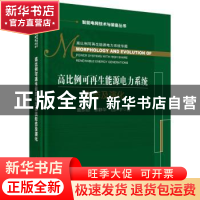 正版 高比例可再生能源电力系统形态及演化 鲁宗相//黎静华//伍
