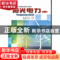 正版 阳光电力 关守仲,陈祥明主编 合肥工业大学出版社 978756