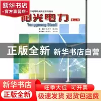 正版 阳光电力 关守仲,陈祥明主编 合肥工业大学出版社 978756