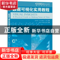 正版 数据可视化实用教程 (美)凯蒂·伯尔纳,(美)戴维·E.波利著