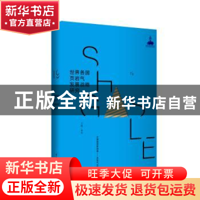 正版 世界各国页岩气发展战略研究 林珏 华东理工大学出版社 9787