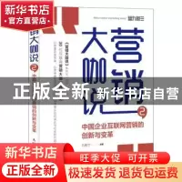 正版 营销大咖说:2:中国企业互联网营销的创新与变革 九枝兰 人民