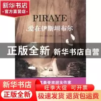 正版 爱在伊斯坦布尔 (土耳其)典南·桑恩(Canan Tan)著 人民文学