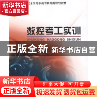 正版 数控考工实训 汪荣青主编 北京大学出版社 9787301135983 书